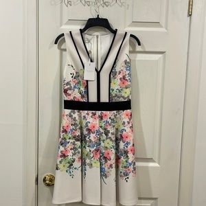 Ted Baker Dress